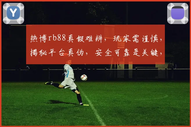热博rb88真假难辨，玩家需谨慎，揭秘平台真伪，安全可靠是关键，谨慎选择