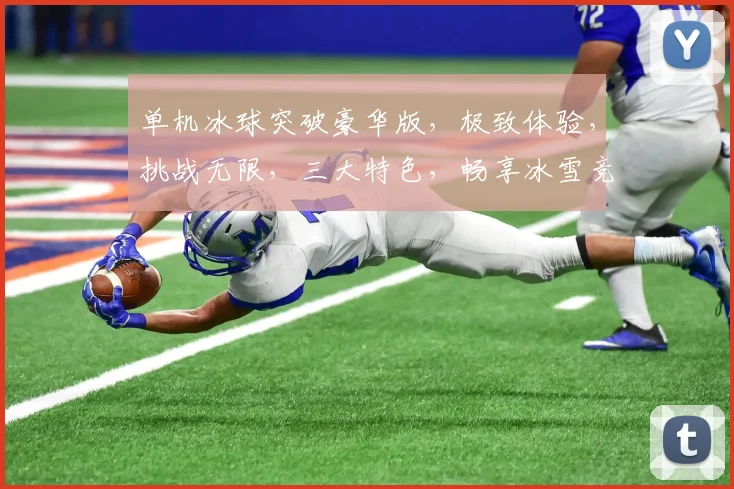 单机冰球突破豪华版，极致体验，挑战无限，三大特色，畅享冰雪竞技