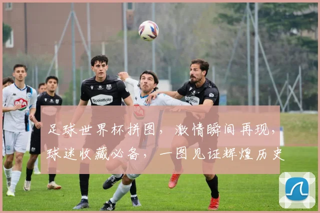 足球世界杯拼图，激情瞬间再现，球迷收藏必备，一图见证辉煌历史，