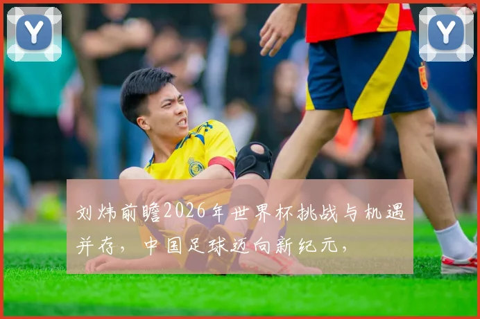 刘炜前瞻2026年世界杯挑战与机遇并存，中国足球迈向新纪元，