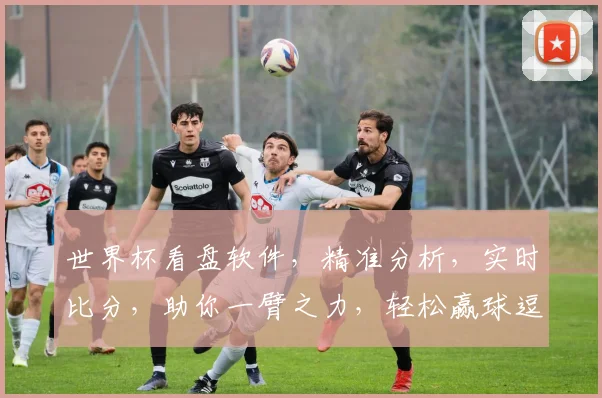 世界杯看盘软件，精准分析，实时比分，助你一臂之力，轻松赢球逗逗乐