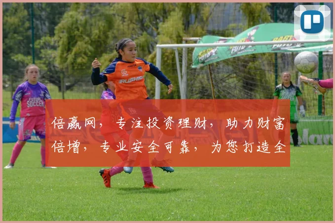 倍赢网，专注投资理财，助力财富倍增，专业安全可靠，为您打造全方位投资平台。