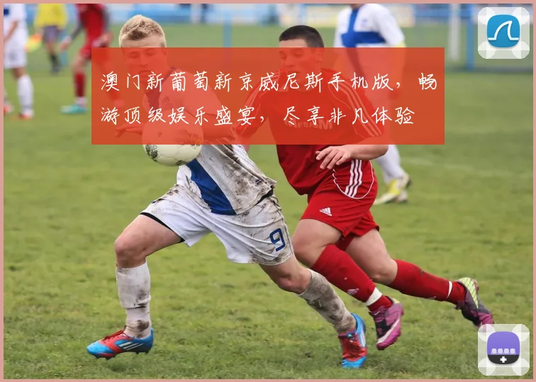 澳门新葡萄新京威尼斯手机版，畅游顶级娱乐盛宴，尽享非凡体验