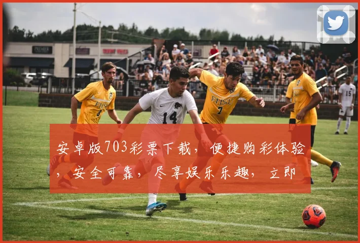 安卓版703彩票下载，便捷购彩体验，安全可靠，尽享娱乐乐趣，立即下载