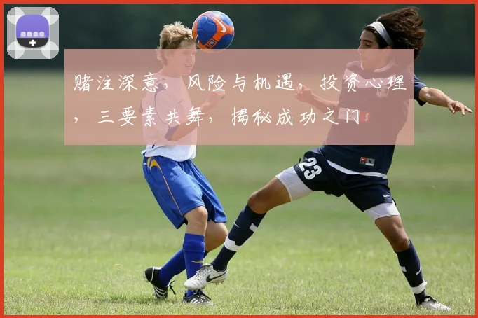 赌注深意，风险与机遇，投资心理，三要素共舞，揭秘成功之门
