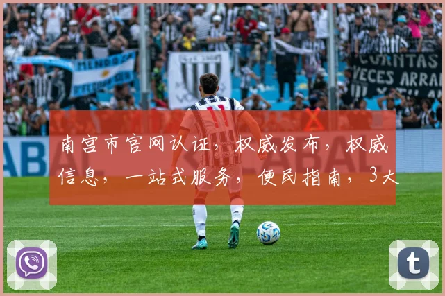 南宫市官网认证，权威发布，权威信息，一站式服务，便民指南，3大特色亮点不容错过